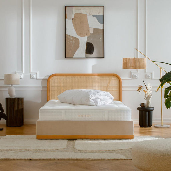 Das nächtliche Wunder – was passiert während wir schlafen